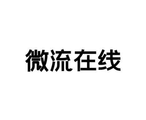 深圳市微流在线信息技术服务——信息技术咨询的创新引航者